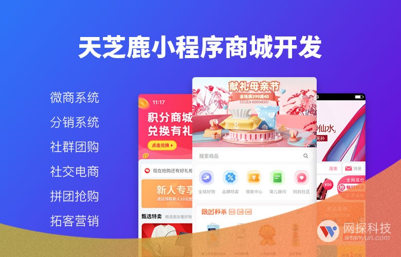 天芝鹿小程序商城开发