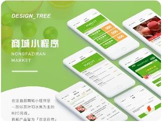 商城小程序源码开发多少钱_网探科技