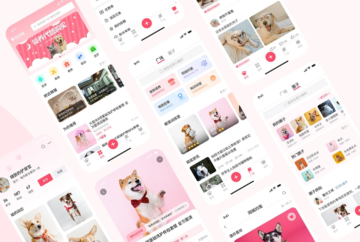 宠物APP开发方案